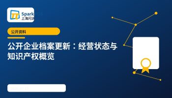 公开企业档案更新：上海闪派经营状态与知识产权概览